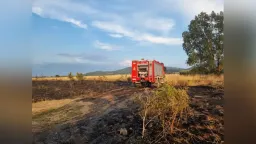Five wildfire fronts erupt across Rhodope in one day