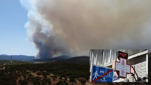 Heat wave, wildfires grip Western Europe