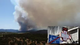 Heat wave, wildfires grip Western Europe