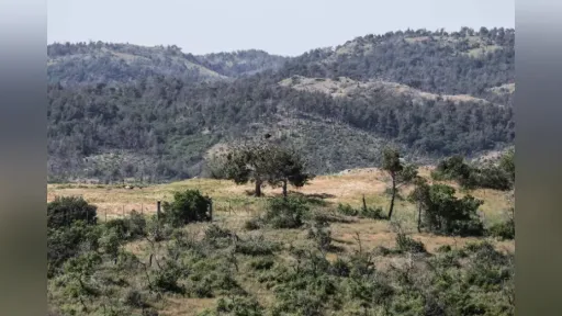 EU court ruling strengthens protection of Natura 2000 areas