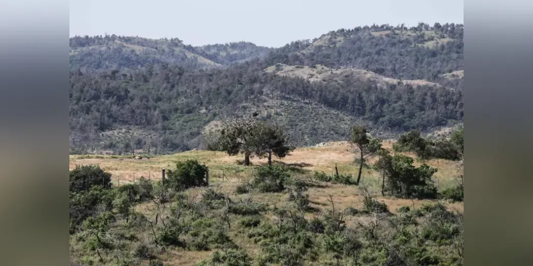 EU court ruling strengthens protection of Natura 2000 areas