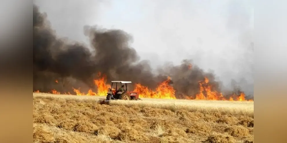 Macedonia-Thrace administration issues wildfire prevention guidelines for agricultural areas