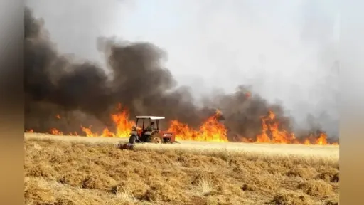 Macedonia-Thrace administration issues wildfire prevention guidelines for agricultural areas
