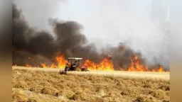 Macedonia-Thrace administration issues wildfire prevention guidelines for agricultural areas
