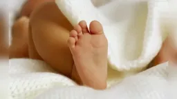 Live births in Greece edge up in first quarter of 2026, ELSTAT says