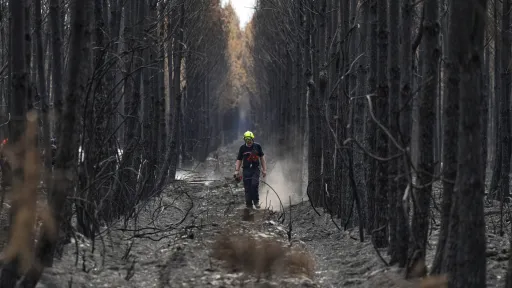 Wildfires push Europe’s losses beyond €3 billion as climate extremes intensify