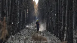 Wildfires push Europe’s losses beyond €3 billion as climate extremes intensify