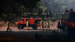 Wildfire burns over 10,000 hectares in western Athens: EU's climate agency