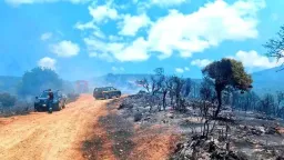 More than two wildfires a day recorded in Rodopi since May; Three arrested
