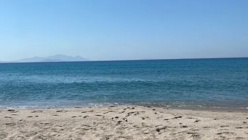 Temperatures up to 39°C amid typical August conditions