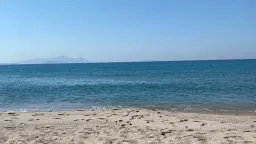 Temperatures up to 39°C amid typical August conditions