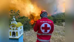 Greek Red Cross launches donation appeal for wildfire victims