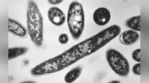 Greece records 180 Legionnaires’ disease cases as majority involve tourists