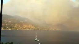 Greece places Attica, Viotia and Evia on red alert over very high wildfire risk