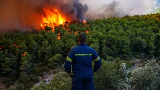 European wildfires cause up to $22B in total damage