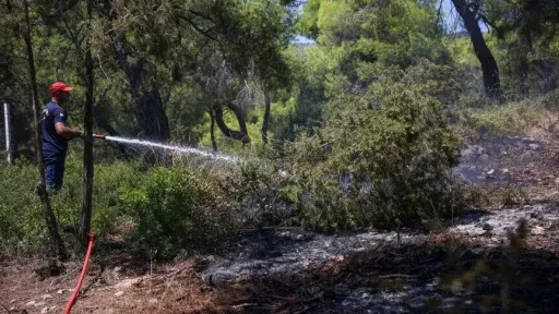 Wildfires break out across Greece as opposition criticizes government fire management
