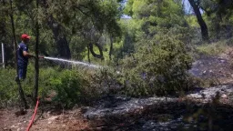 Wildfires break out across Greece as opposition criticizes government fire management