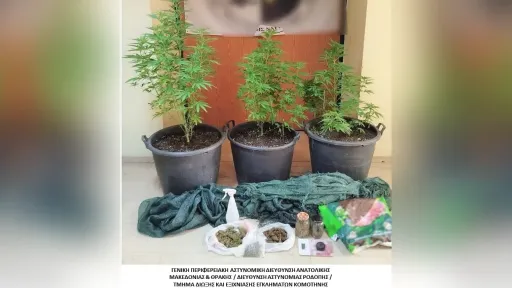 22 arrested in drug-related cases across eastern Macedonia and Thrace