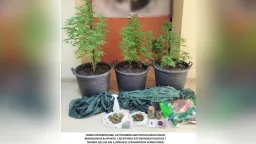 22 arrested in drug-related cases across eastern Macedonia and Thrace