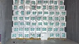 Greek customs seize 1,296 illegal refrigerant bottles worth more than €338,000 in lost duties