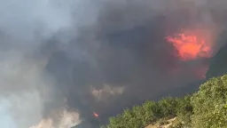 Wildfire forces evacuation of two settlements in Rhodope
