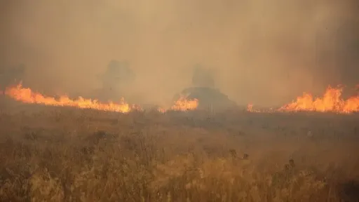 Wildfire forces evacuations in northern Greek resort of Halkidiki
