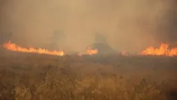 Wildfire forces evacuations in northern Greek resort of Halkidiki