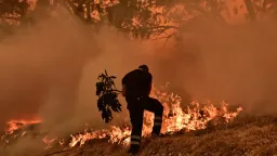 Greece on high alert as wildfire risk reaches extreme levels