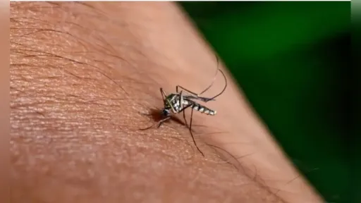 Greece faces rising West Nile virus activity as health authorities warn of further spread