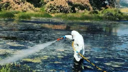 Greece steps up West Nile virus measures