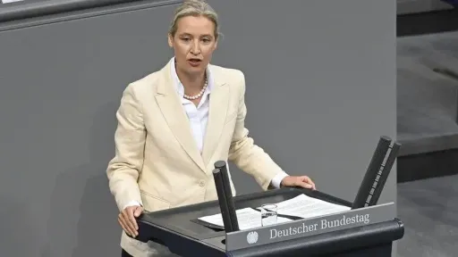 AfD leader calls for Germany to leave euro and Schengen
