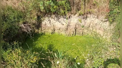57-year-old man found unconscious in water trough in Zarkadia