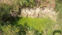57-year-old man found unconscious in water trough in Zarkadia