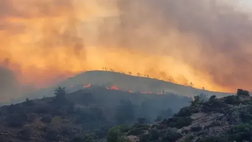 Wildfires reported on Chios and Evia islands and near Kavala