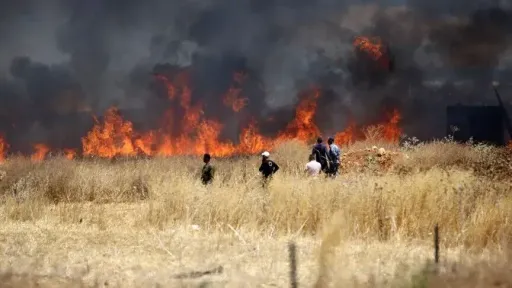 89% of property fires in West Bank caused by Israeli occupiers, says Palestinian commission