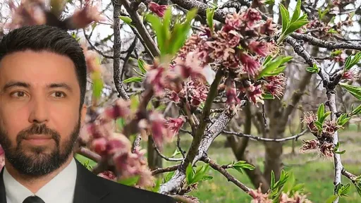 Özgür Ferhat demands answers over unpaid cherry compensation in Rhodope