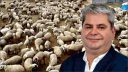 Zeybek questions delayed feed support for livestock farmers