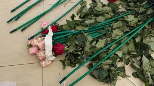 84 kilograms of cocaine hidden inside roses
