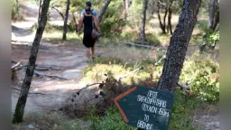 Environmental organizations call for investigation into mass wildlife poisoning