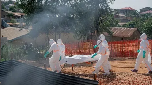 WHO sees Ebola gains in Congo but warns outbreak remains severe
