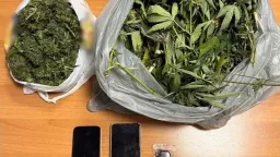 19 arrested in drug-related cases across Eastern Macedonia and Thrace