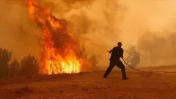 One detained over suspected arson in Greece