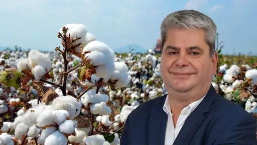 Cotton farmers face 2026 uncertainty as carbon incentive delay reaches parliament