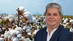 Cotton farmers face 2026 uncertainty as carbon incentive delay reaches parliament