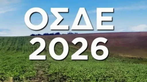 Thrace tobacco producers’ cooperative urges farmers to complete agricultural declarations