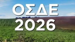 Thrace tobacco producers’ cooperative urges farmers to complete agricultural declarations