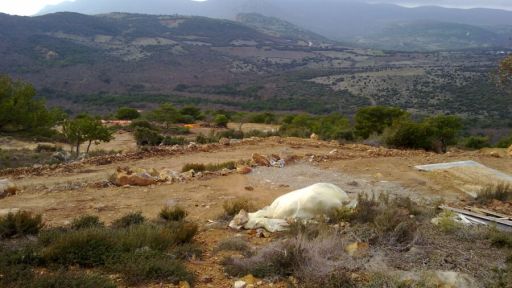 Greece leases mining rights in Şapçı (Sapes) to Metalleftiki Thrakis