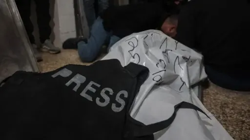 263 Palestinian journalists killed in Gaza war