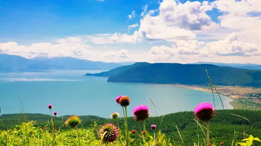 Three countries seek UNESCO status for Prespa Lake
