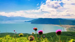 Three countries seek UNESCO status for Prespa Lake